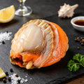 Premium Frozen Scallop Meat 1kg