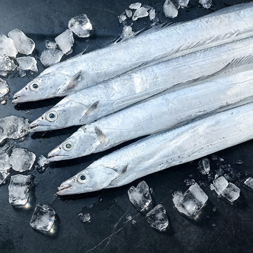 Frozen Whole Small-Eye Hairtail 2kg