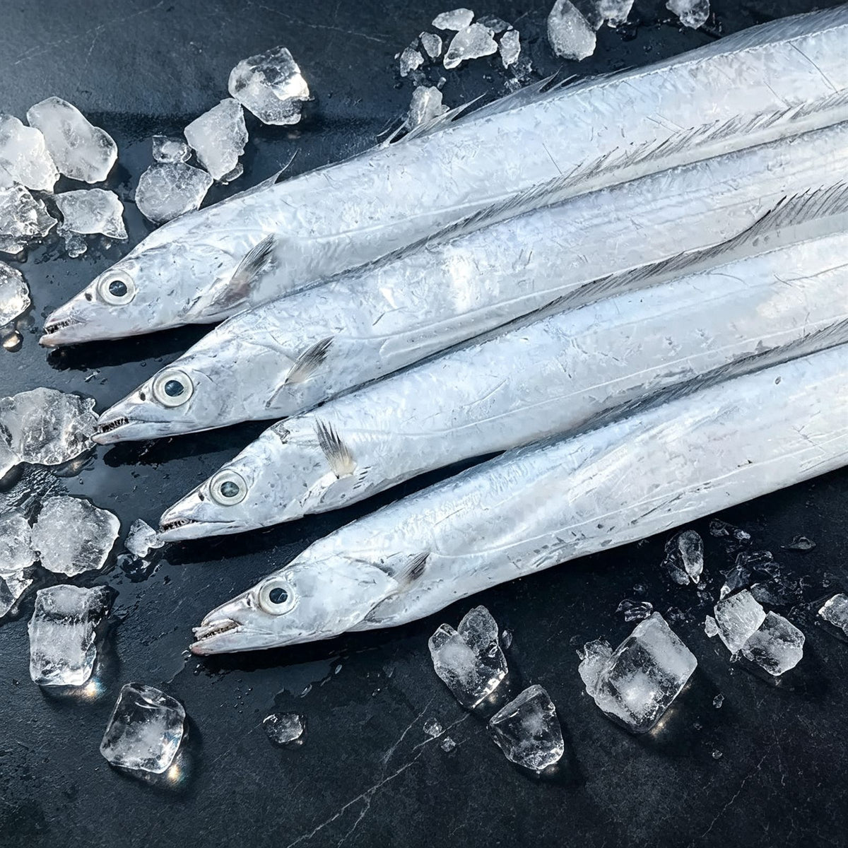 Frozen Whole Small-Eye Hairtail 2kg